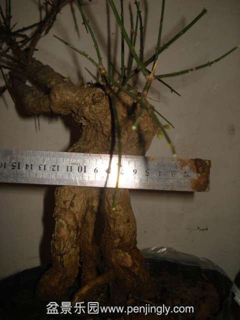 DSC01403_.jpg