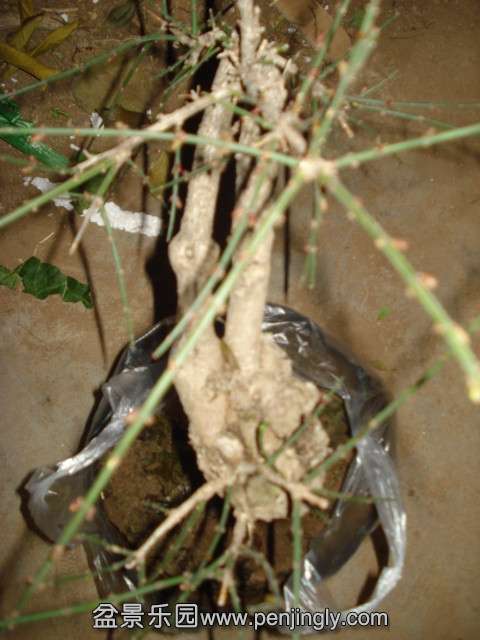 DSC01404_.jpg