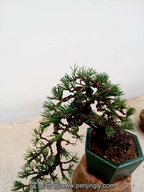 P51201-140627_.jpg