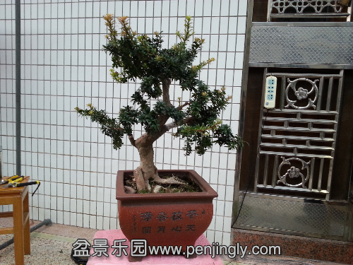 20151130_163152.jpg