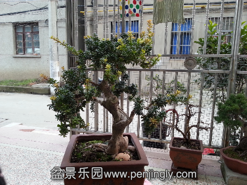 20151130_163137.jpg