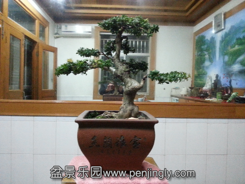 20151130_174702.jpg