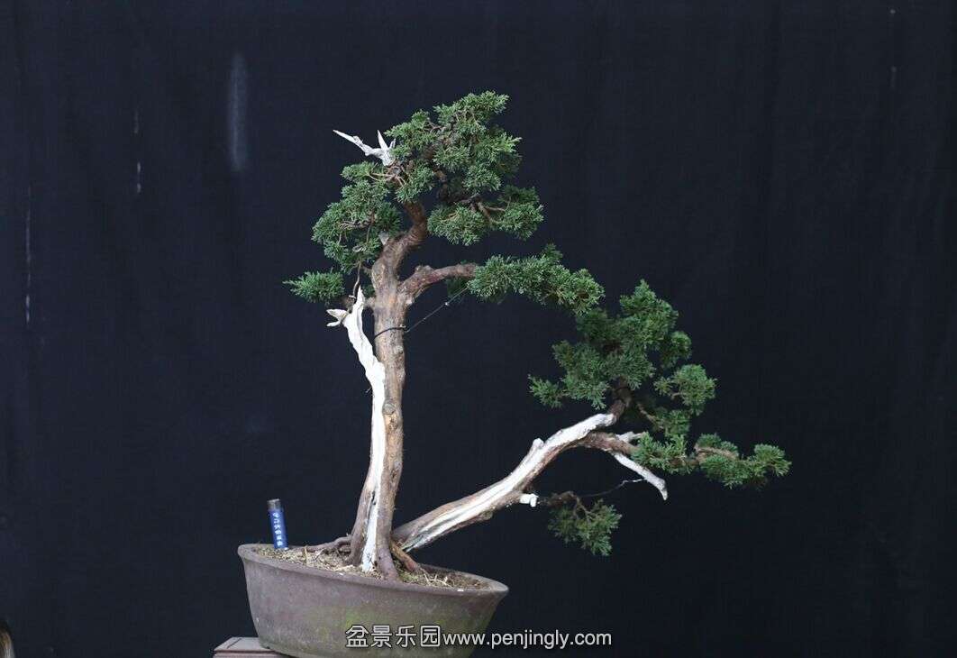 ˫2.jpg