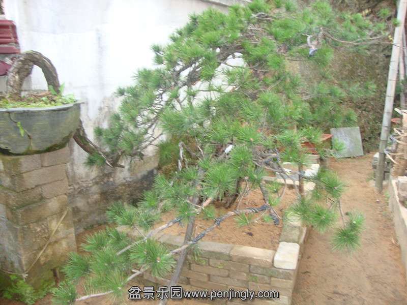 DSC04031_.jpg
