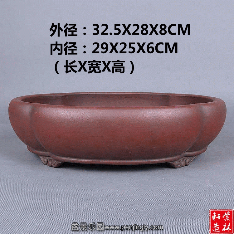 1.gif