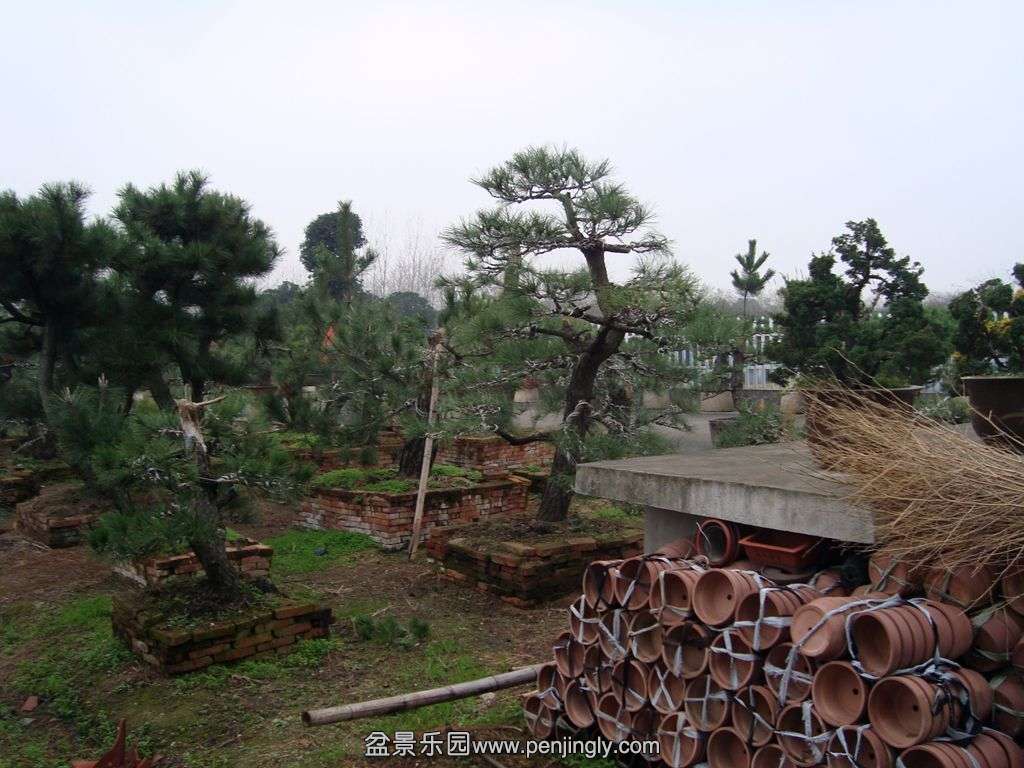DSC01386.JPG