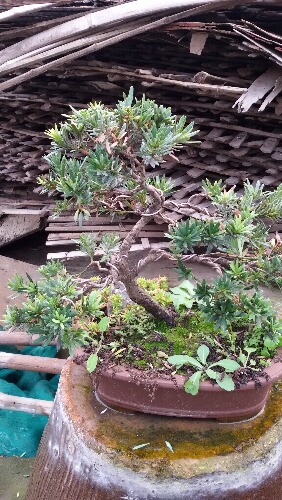 20151206_142048.jpg