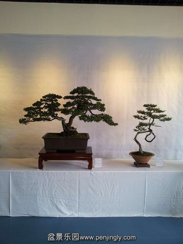 20151130_131547.jpg