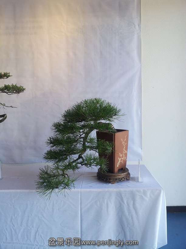 20151203_121418.jpg