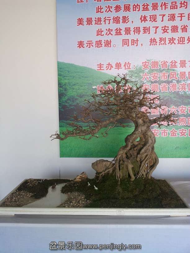 20151203_121516.jpg