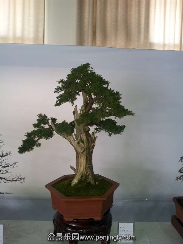 20151203_121612.jpg