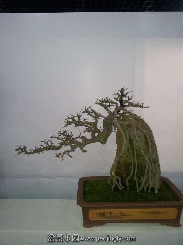 20151203_121652.jpg