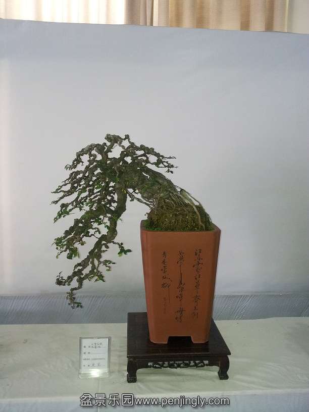 20151203_121724.jpg