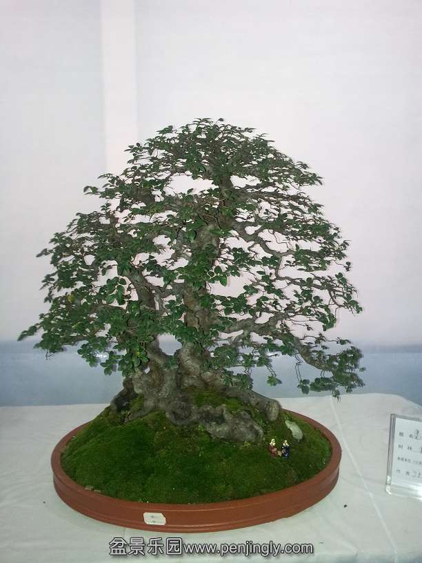 20151203_121813.jpg