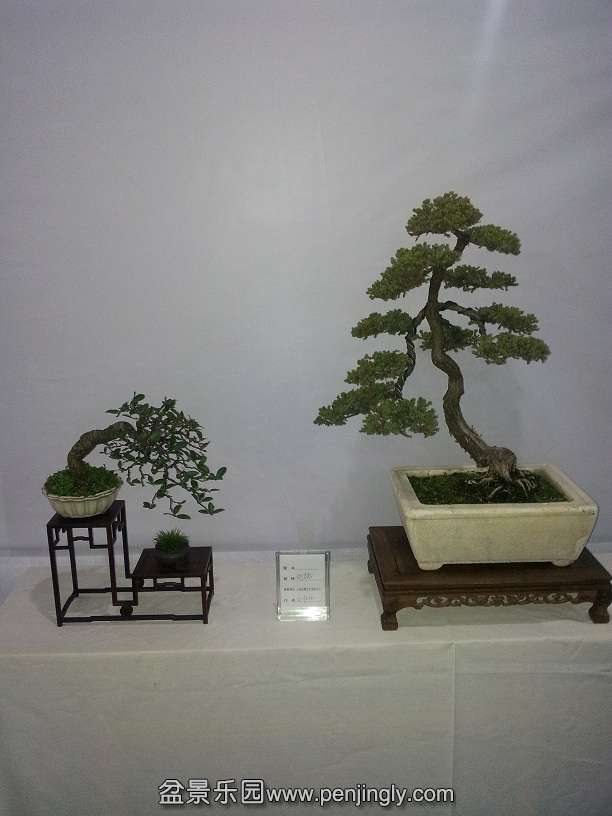 20151203_121917.jpg