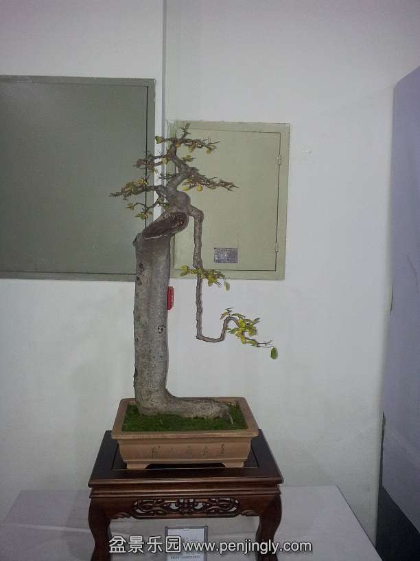 20151203_122137.jpg