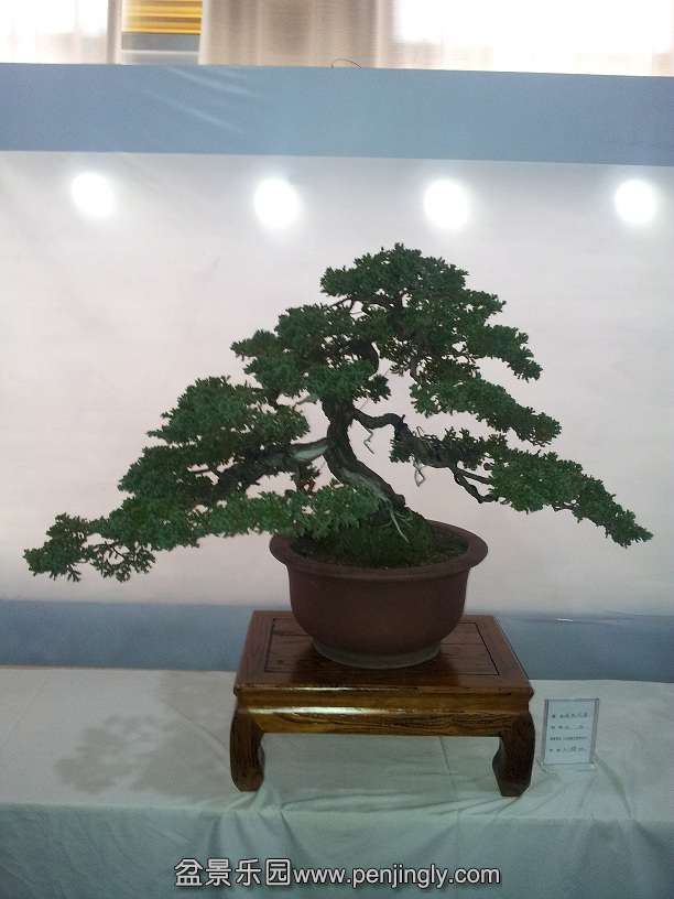 20151203_122421.jpg