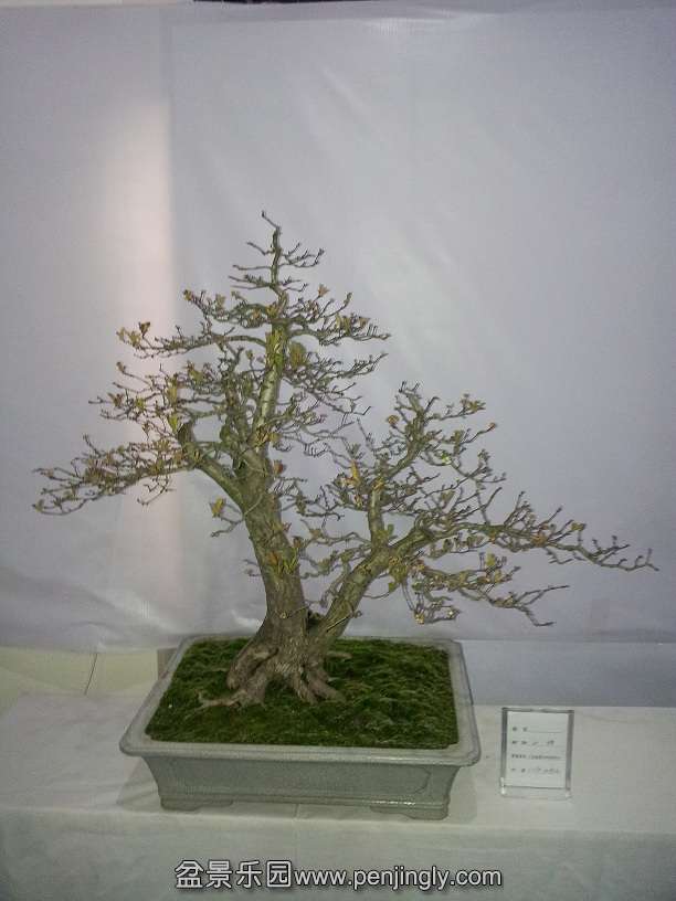 20151203_133106.jpg