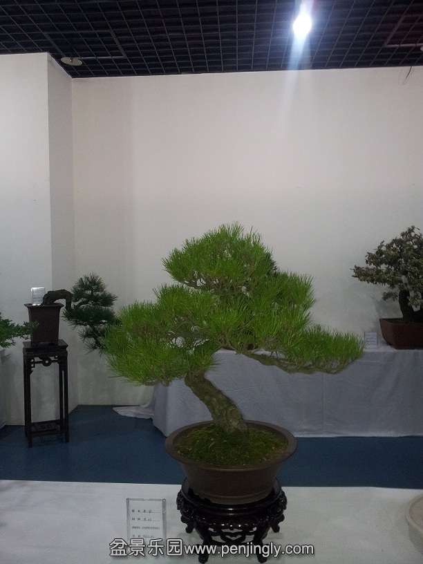 20151203_133242.jpg