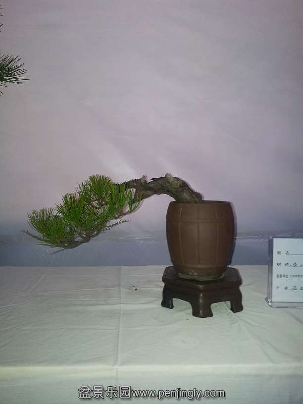 20151203_133318.jpg