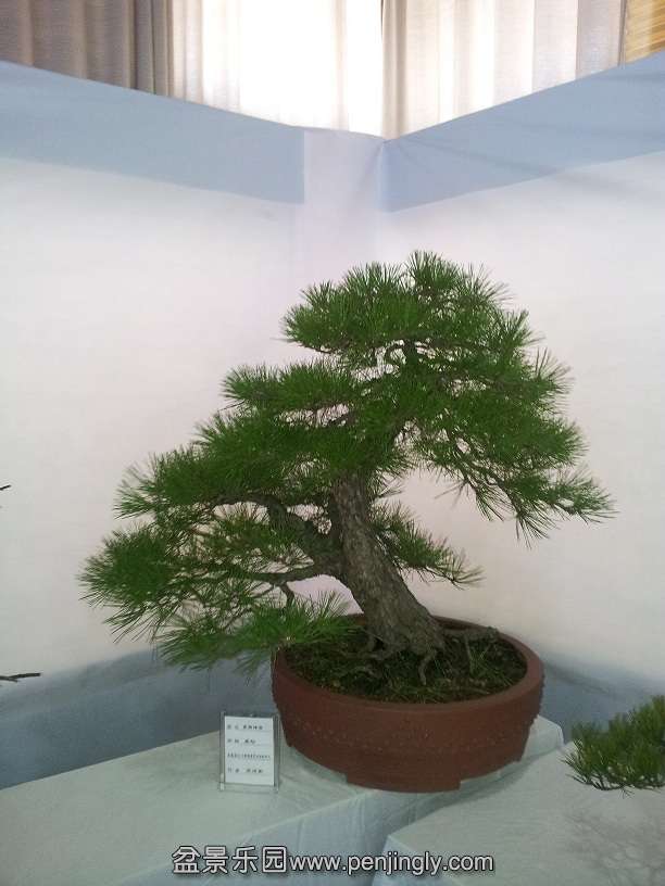 20151203_133326.jpg