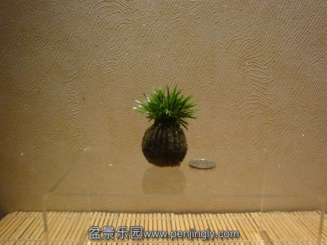 DSC02188.JPG