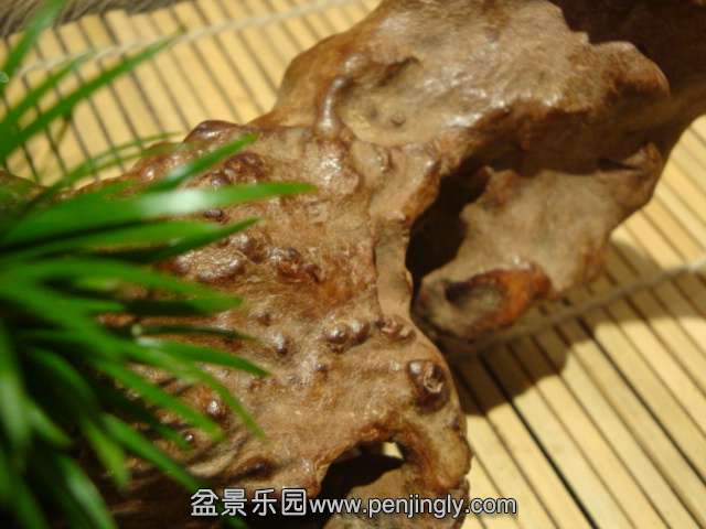 DSC02194.JPG