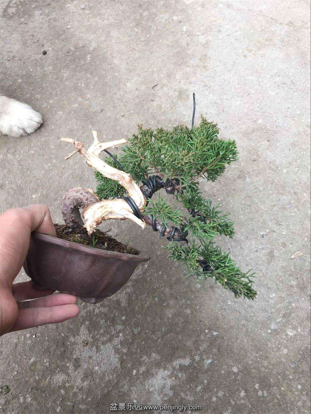 QQͼƬ20151210135805.jpg