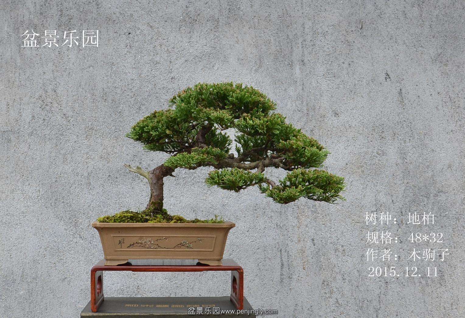 2015.1211 018_.jpg