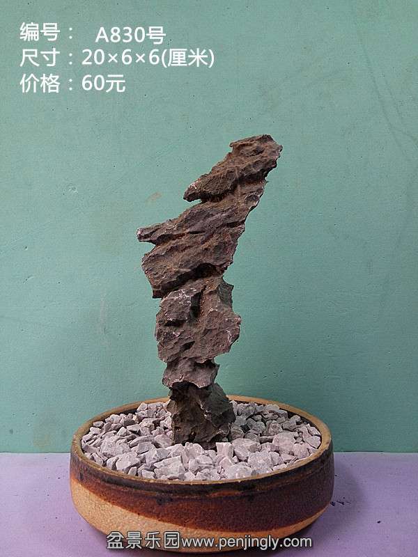 a830.jpg