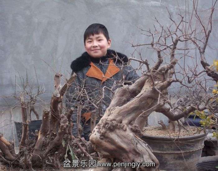 100_4965.JPG