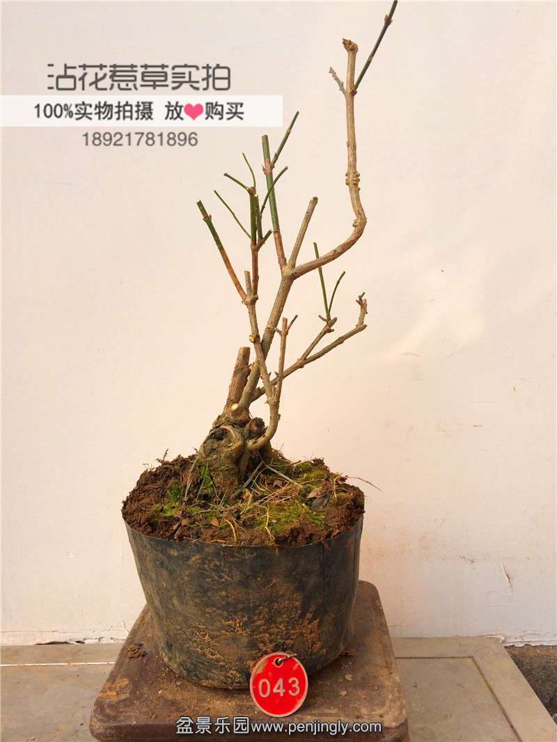 0D28EB09-57C6-4BEB-B9E9-6AAE72E67289.JPG