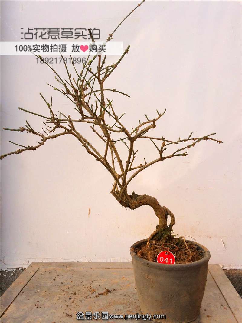 3E8A9E45-4C08-4B03-B02E-20023394FE7F.JPG