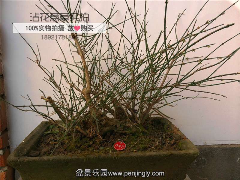 282D2703-EC7F-4BC6-94A7-3BD41BD99EF0.JPG