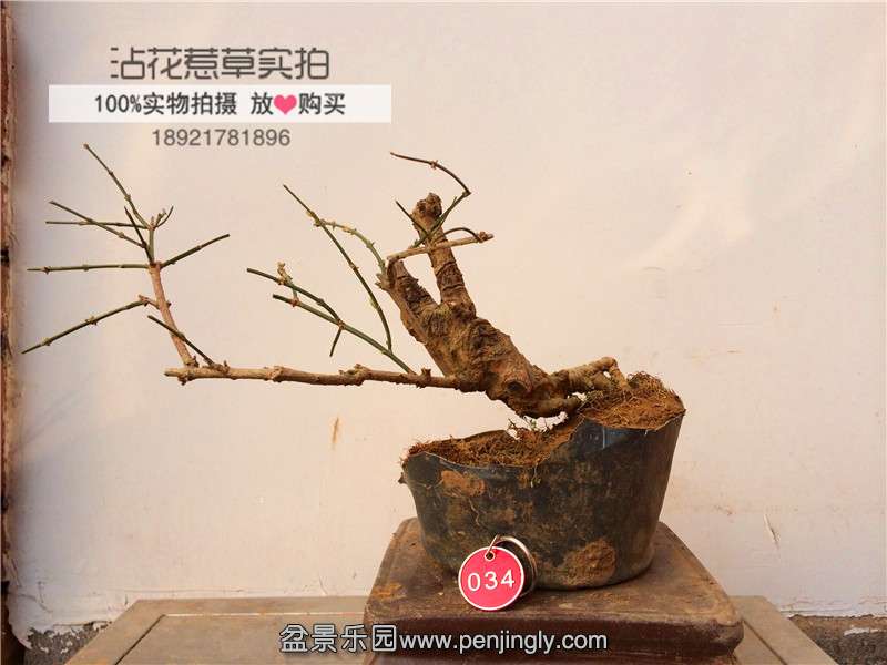 BEC28050-EDD9-4283-8D7E-DFA8E68215A8.JPG