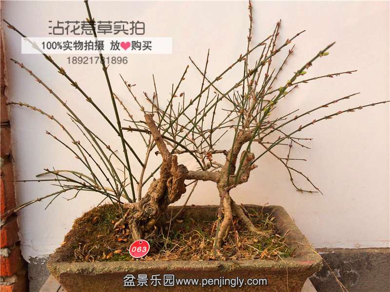 EB23F83D-6D72-4D93-8FEB-ACAF6CF6A515.JPG