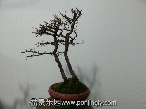 20151213_152853.jpg
