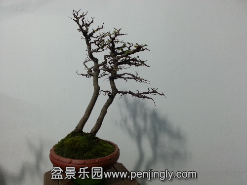 20151213_152825.jpg