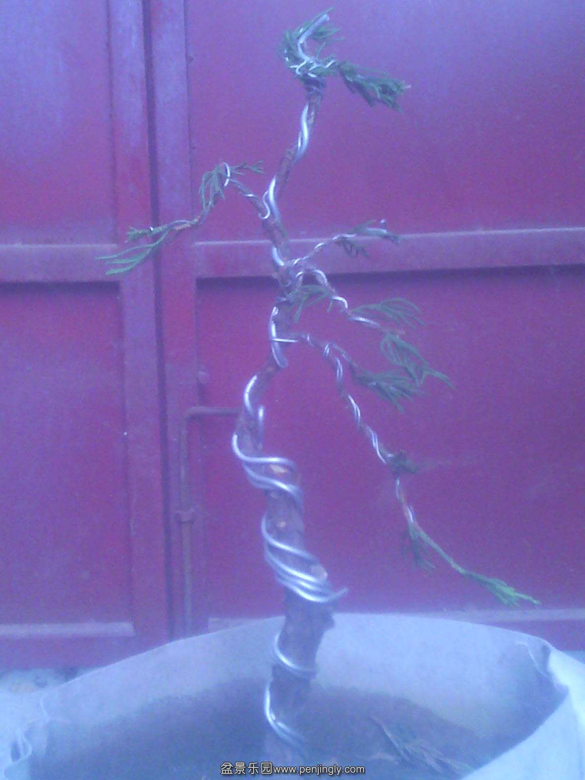 IMG00240.jpg