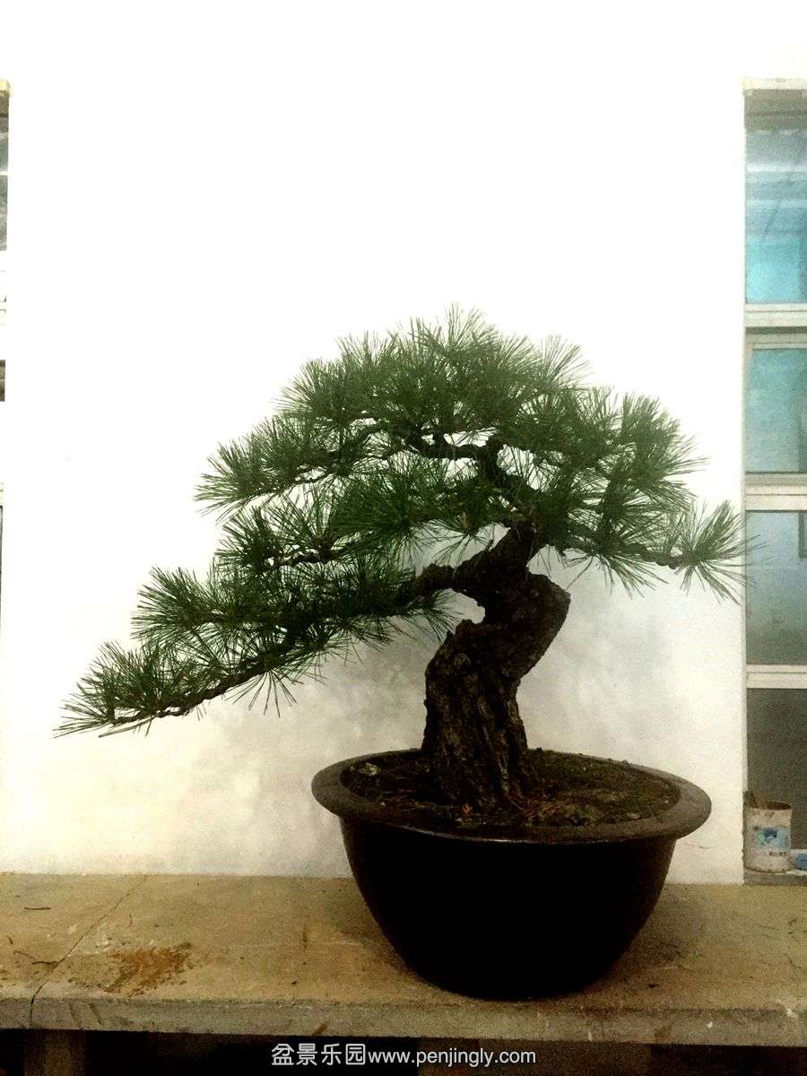 QQͼƬ20151221204937.jpg