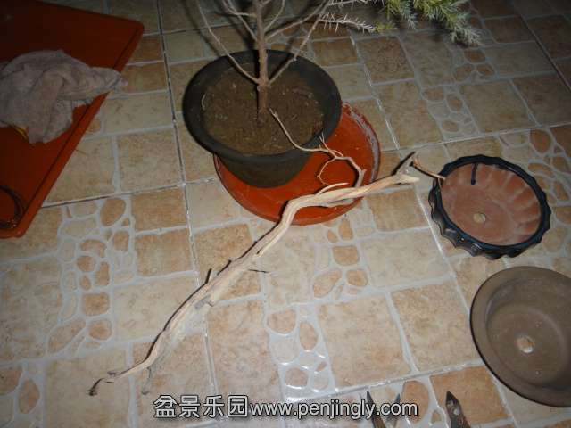 DSC01692.JPG