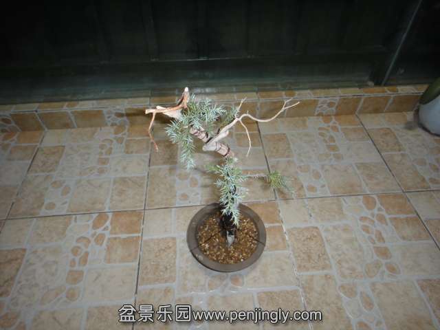 DSC01695.JPG