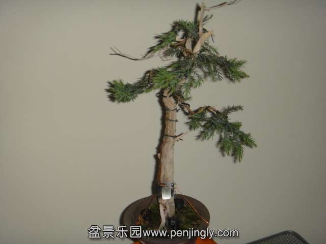 DSC02412.JPG