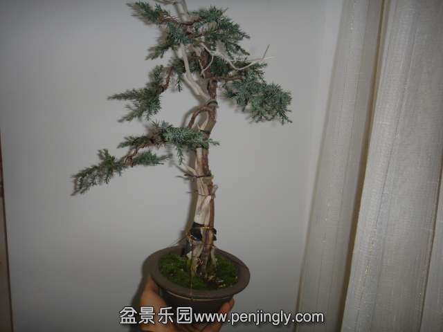 DSC02670.JPG