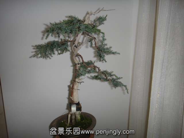 DSC02671.JPG