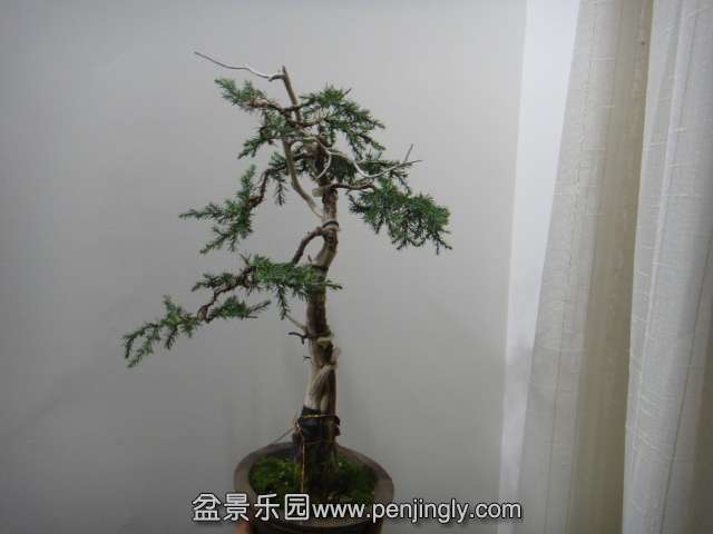 DSC02673.JPG