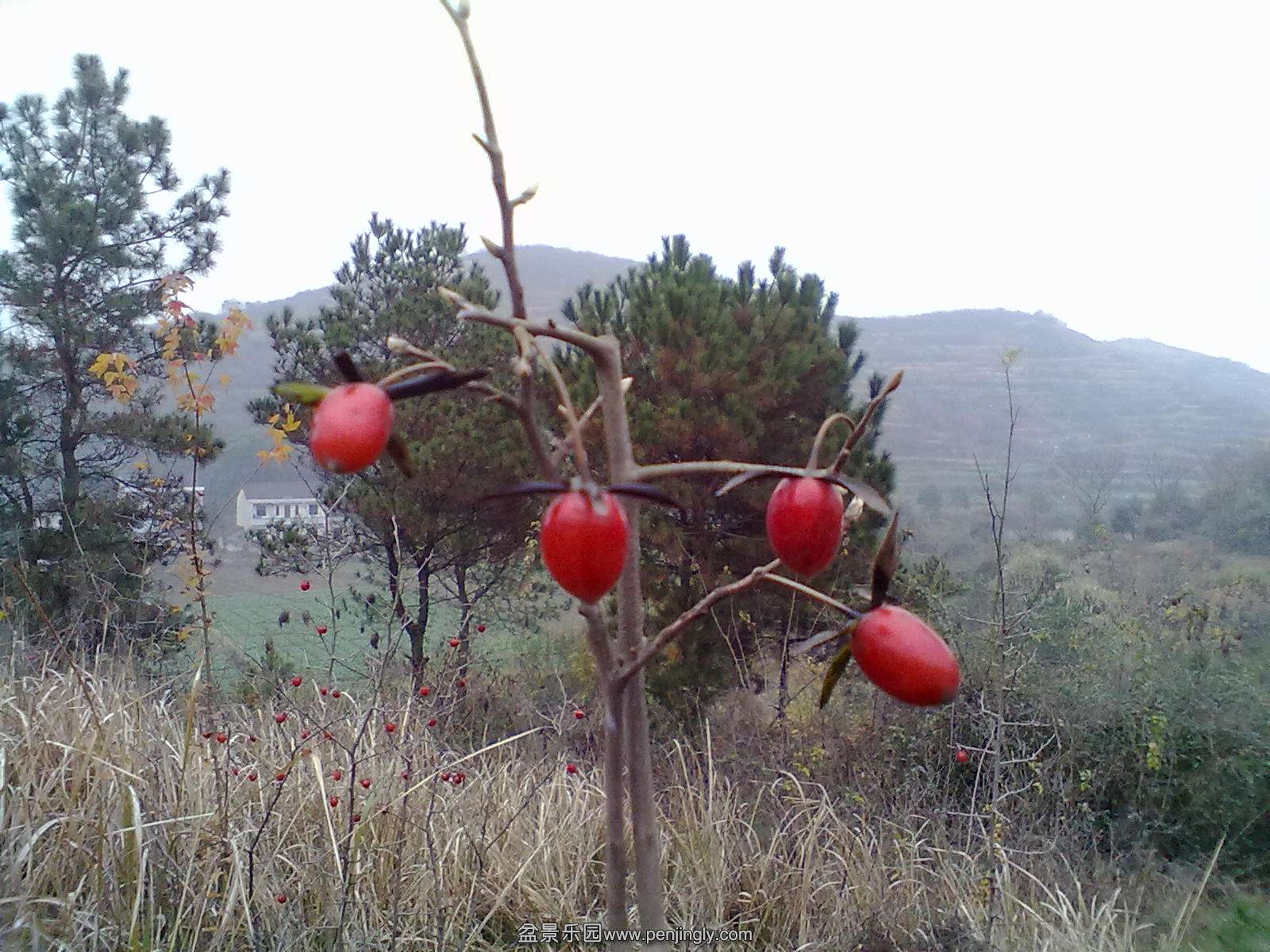 201103292029.jpg