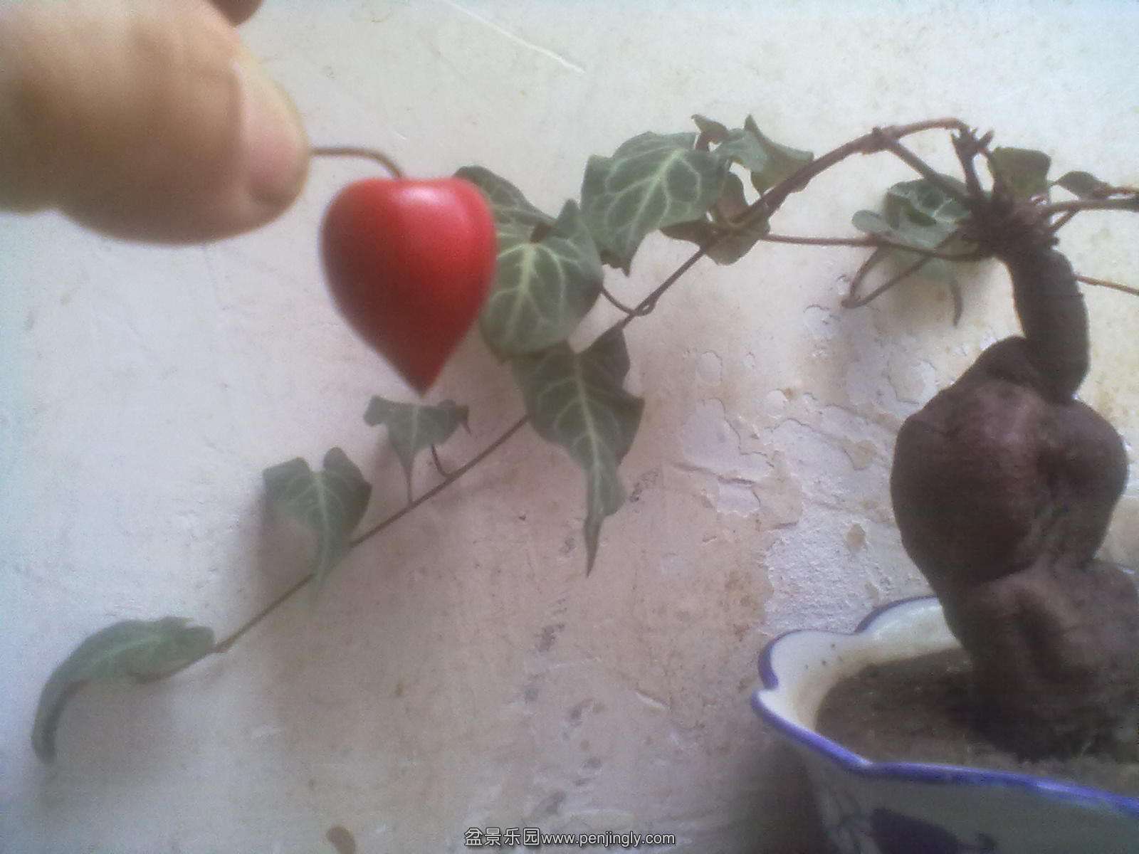 201104062113.jpg
