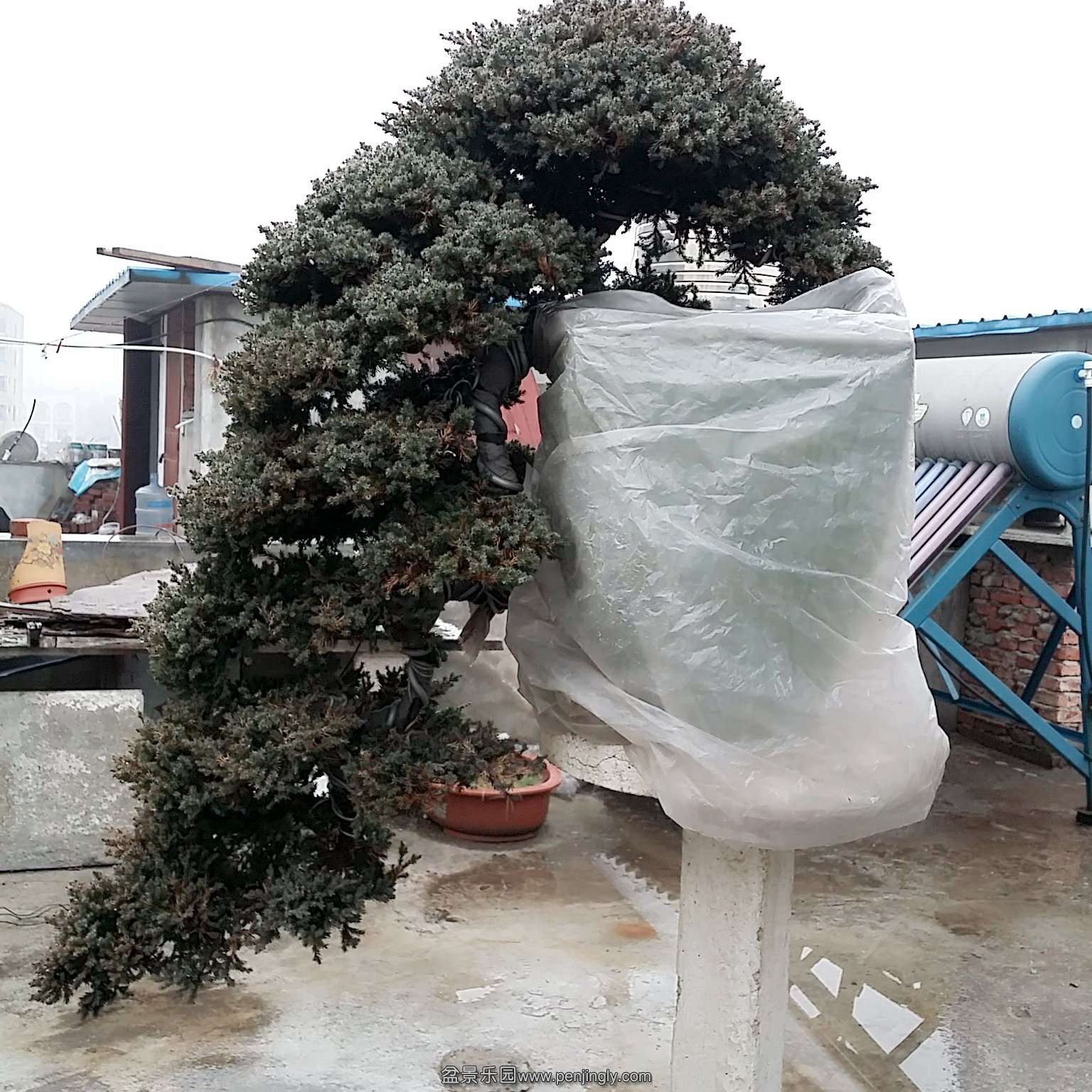 C360_2015-12-23-10-05-53-301.jpg