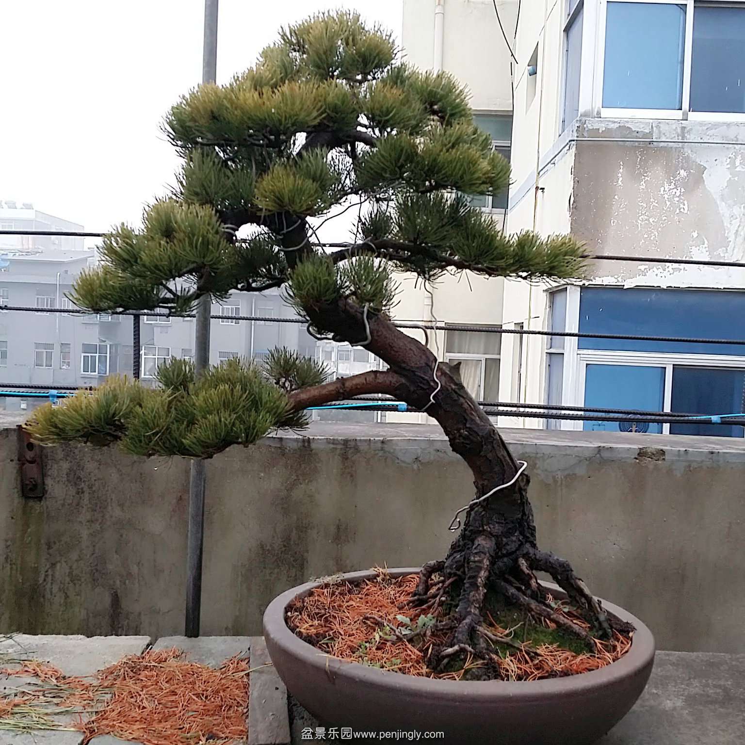 C360_2015-12-23-10-05-20-139.jpg